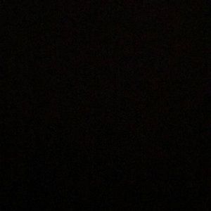 Meet your Posher, Wayne